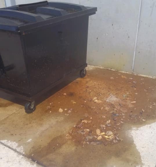 Before-Dumpster-United Mobile Power Wash & Pressure Washing Services_Commercial_Southfield Michigan_124